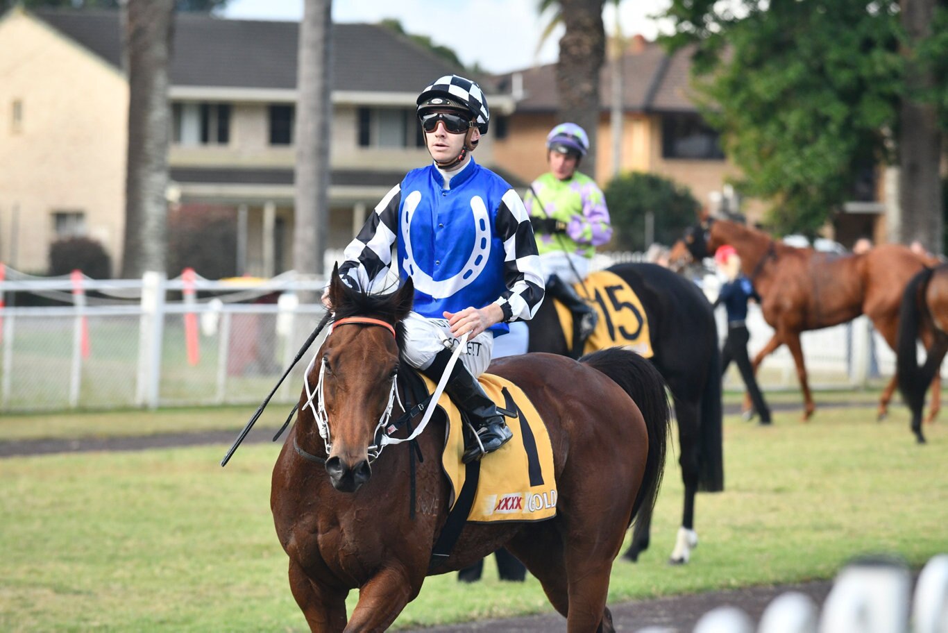 Jason Collett rode Kris Lees trained Sixties Groove to victory the $200,000 Iron Jack Grafton Cup (2350m) at Clarence River Jockey Club on Thursday, 9th July, 2020.