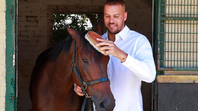 **All Star Mile pic story**Buddy Franklin with, Shout The Bar, at Gai Waterhouse stables in Kensington, today.Picture:Justin Lloyd