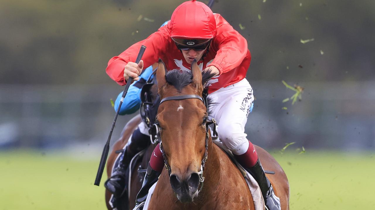 Ciaron Maher And David Eustace Aiming Two Fillies At $2 Million Inglis ...