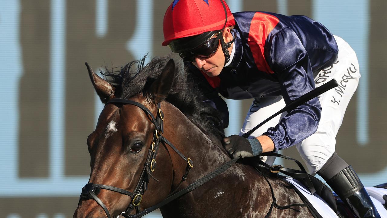 Sydney Racing - Golden Rose Day