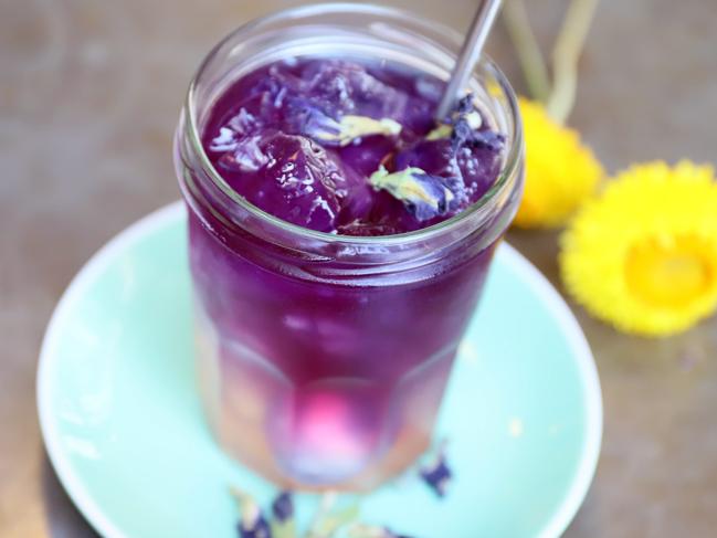 Blue Butterfly Pea Tiscane. Picture: Jenifer Jagielski