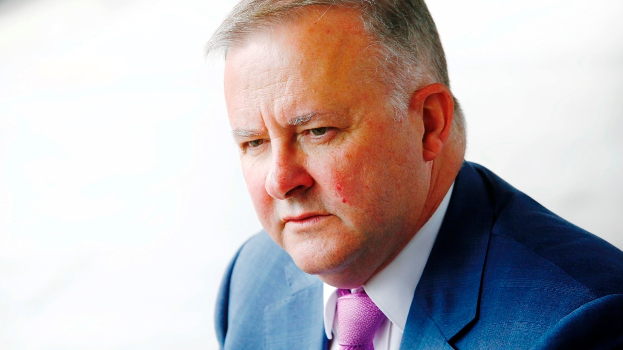 We need policy certainty for the NEG: Albanese