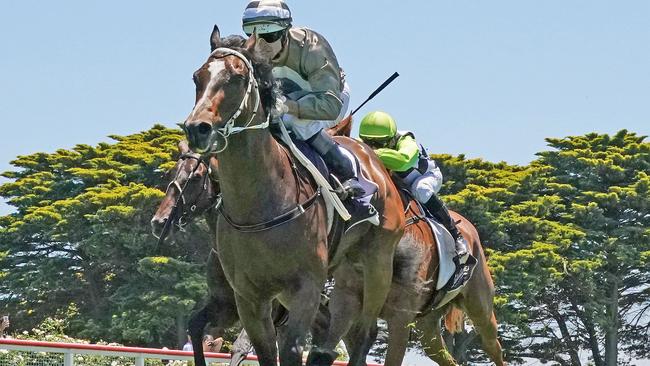 Veteran jockey Noel Callow was charged in November. Picture: Getty Images