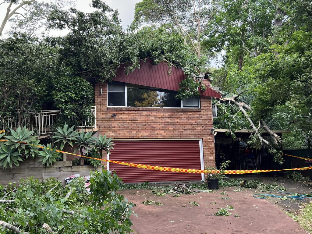 Family of six evacuated after 30m tree crushes Beecroft home on Hull Rd ...