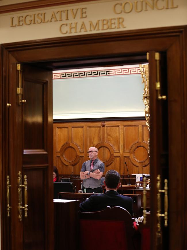 Independent MLC, Michael Gaffney talks during the Voluntary Assisted Dying Bill debate in the Legislative council. Picture: Zak Simmonds