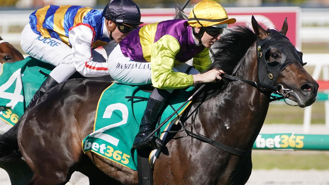 Victoria Derby finishing order in breeding — Australia’s