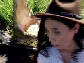 Darwin news reporter Zarisha Bradley has revealed it's true what they say about never giving a smile to a crocodile, narrowly escaping the reptile's jaws. Picture: Twitter