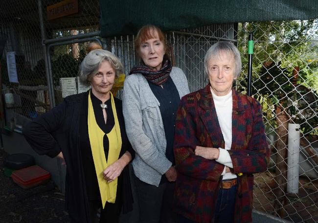 NOT HAPPY, BY GUM: Friends of the Koala president Lorraine Vass, committee member Julie Reid and vice-president Ros Irwin are not happy about being excluded from the Lismore City Council budget. Picture: Mireille Merlet-Shaw