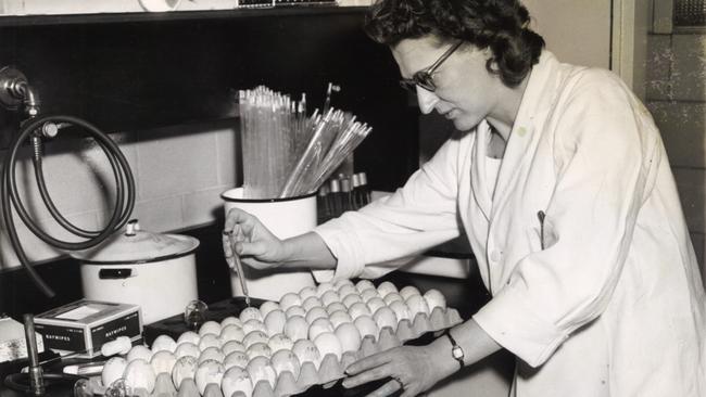 A lab technician manufactures influenza vaccine using chickens’ eggs at Parke Davis &amp; Company in the 1950s.