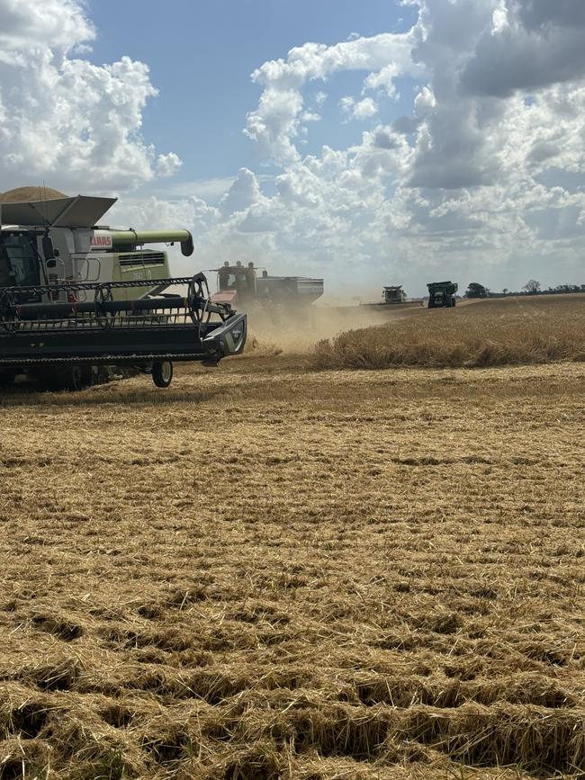 Harvest is progressing at Moree in northern NSW. Picture: Supplied