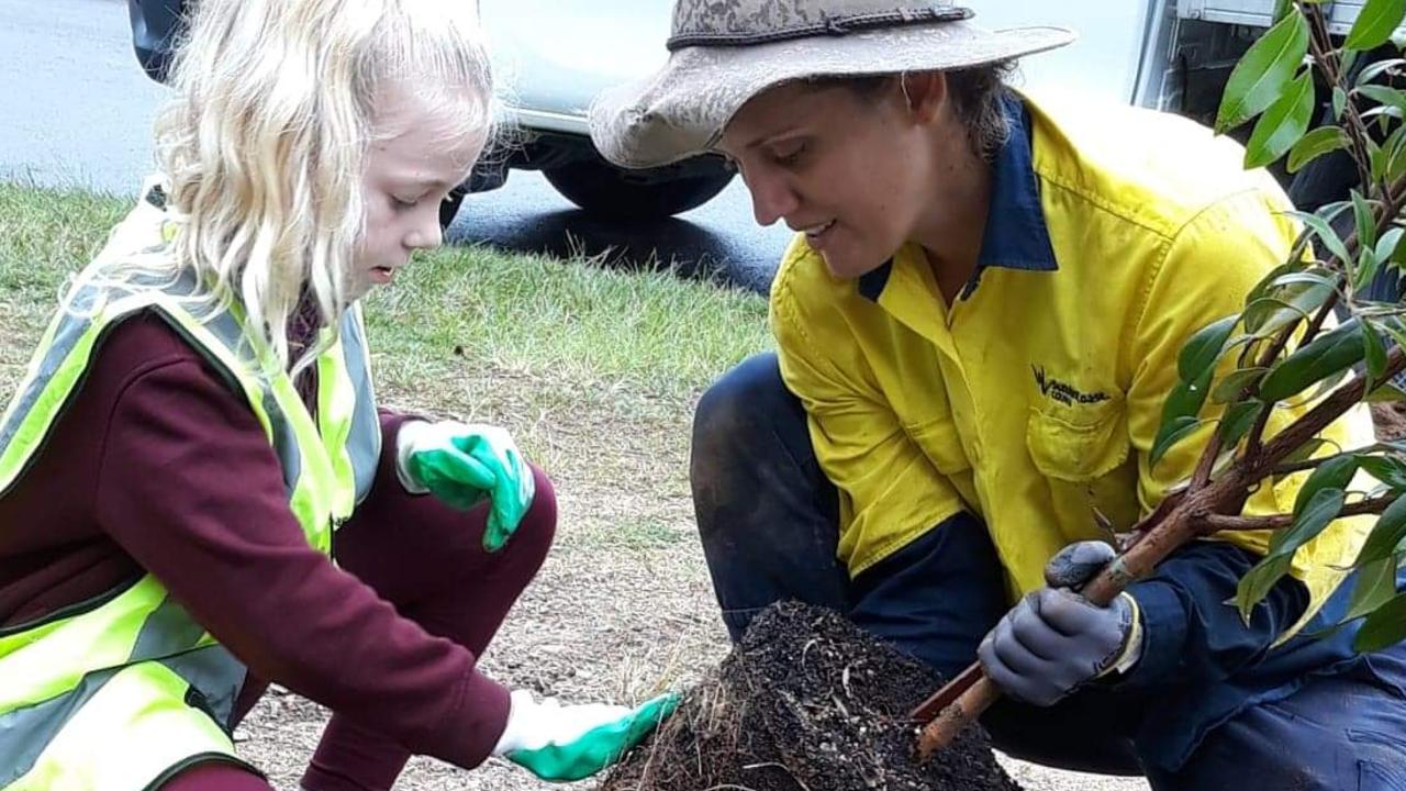 Campbelltown Council needs to plant 23,000 trees to survive climate ...