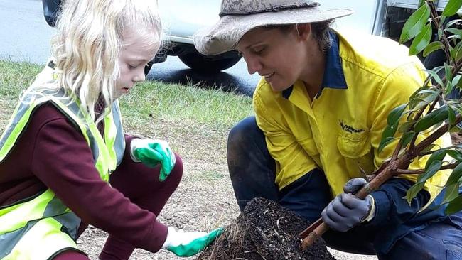 More than 23,000 trees needed to be planted by Campbelltown Council to combat heat islands and the effects of climate change. Picture: File