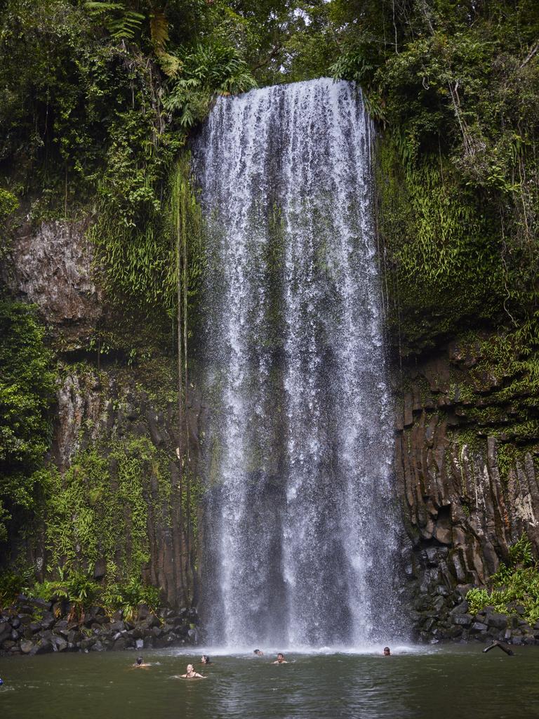 Atherton Tablelands Waterfalls Day Tour from Cairns. Photo: Brad Newton