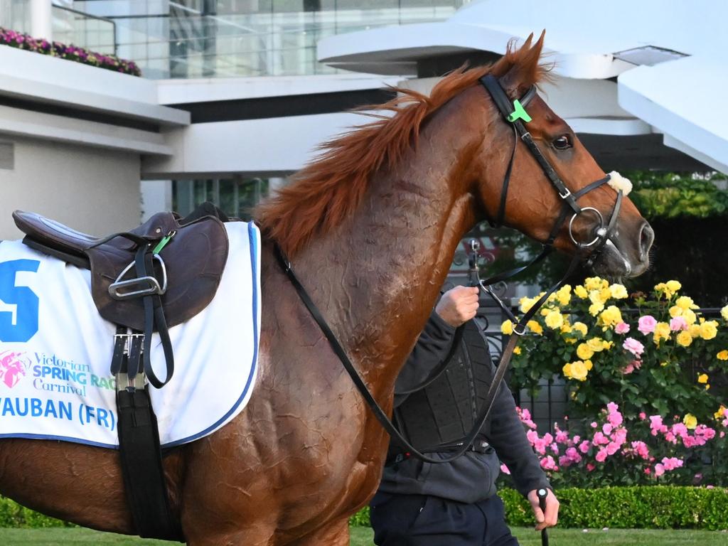 🏆🐴 Lastminute Melbourne Cup guide Expert tips, predictions and late mail FOX SPORTS Australia