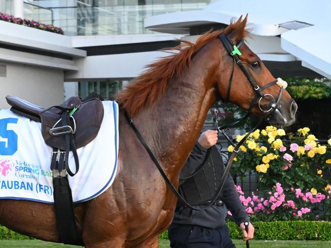 MELBOURNE, AUSTRALIA - OCTOBER 31: Lexus Melbourne Cup favourite, Vauban ridden by David Casey is seen during Derby Day Breakfast With The Best gallops at Flemington Racecourse on October 31, 2023 in Melbourne, Australia. (Photo by Vince Caligiuri/Getty Images)