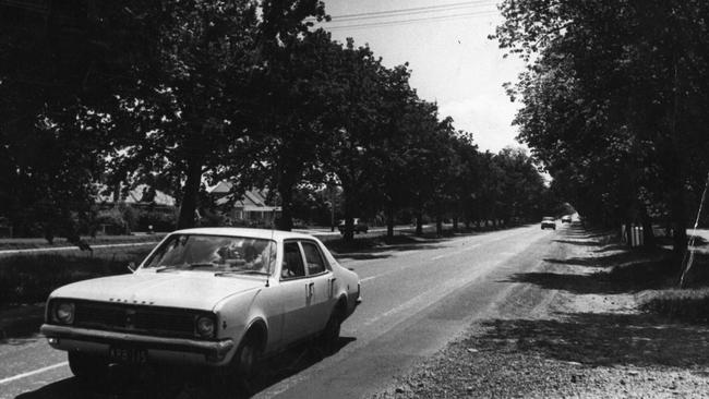 Ballarat’s Ave of Honour in 1971.