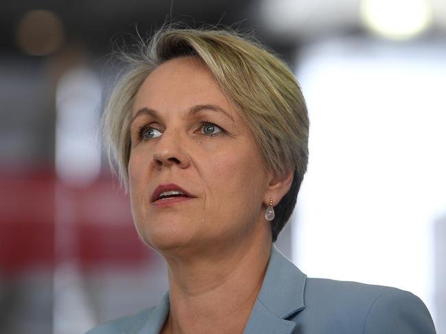 Shadow Education Minister Tanya Plibersek.