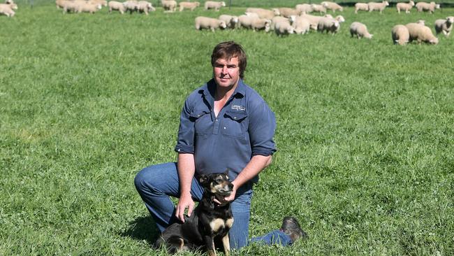 Tom Bull, with his dog Pip, at his property "Kinross", Holbrook , Picture Yuri Kouzmin