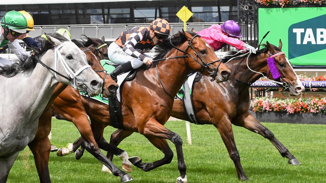 Warnie (centre) has attracted interest for The Supernova slot race at Pakenham next Saturday. Picture: Brett Holburt/Racing Photos