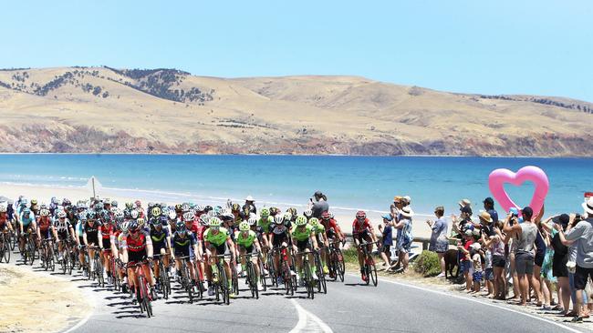 The peloton makes its way around Snapper Point last year. Picture Sarah Reed