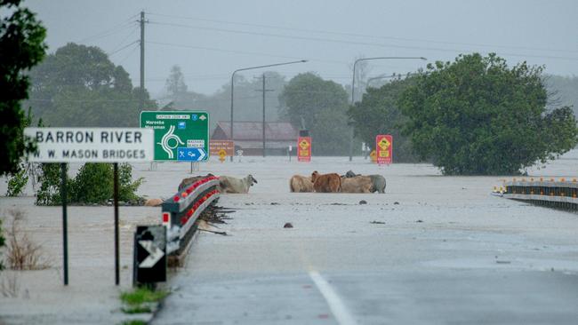 Flooding in Cairns in December. Picture: Cockatours