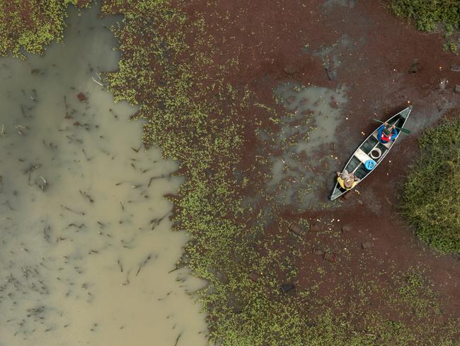 Drones capture ecologists and volunteers at work. Picture: Doug Gimesy