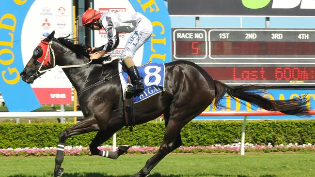 Jockey Luke Rolls wins on Nakanai at the Gold Coast. Photo: Grant Peters, Trackside Photography.