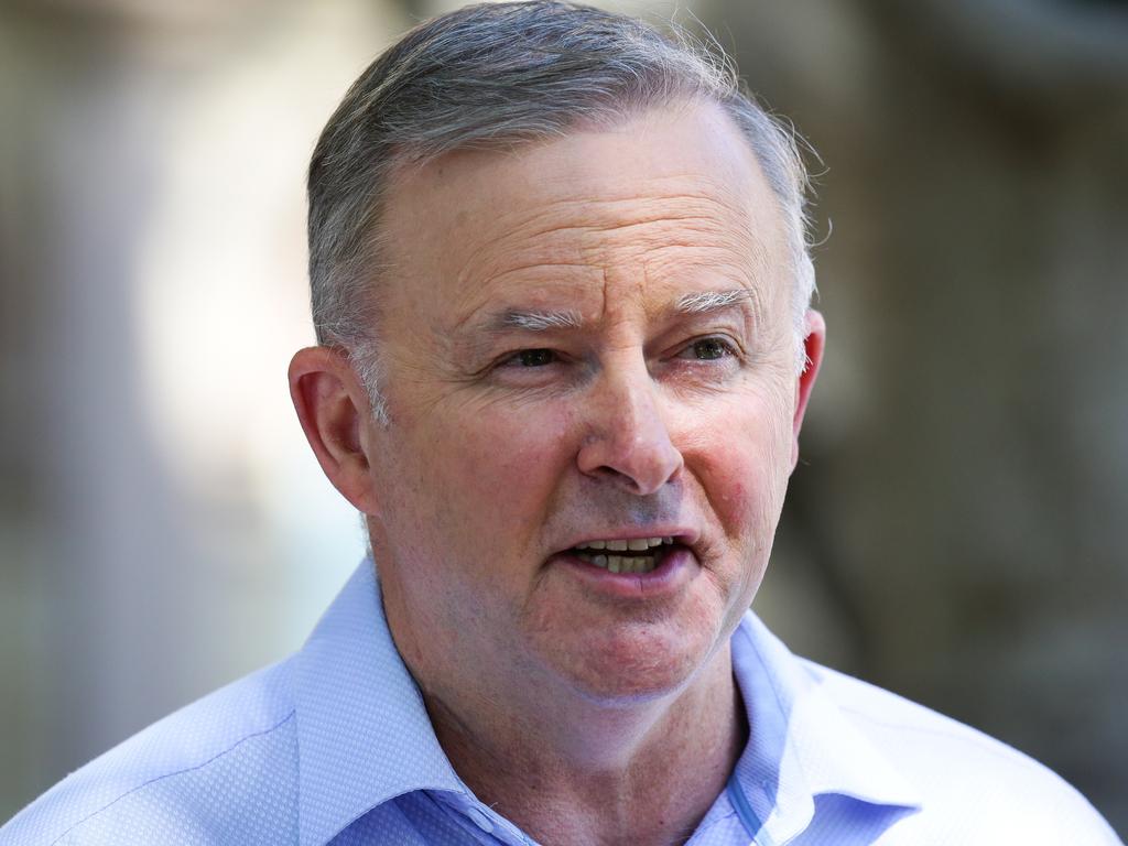 Mr Albanese says the prime minister is in a good position to criticise Mr Trump, given the latter’s ‘admiration’ for the former. Picture: Gaye Gerard