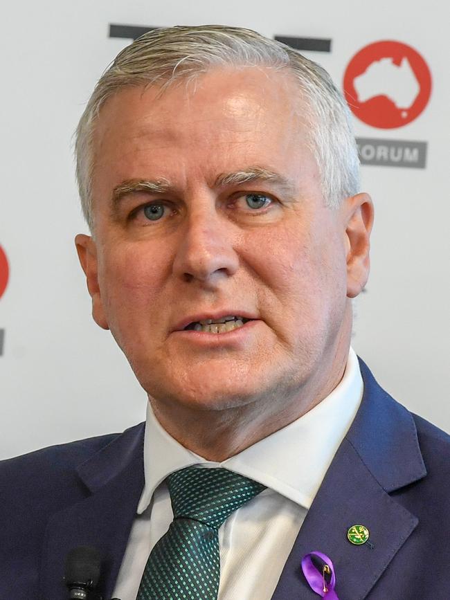 Deputy Prime Minister and Transport Minister Michael McCormack