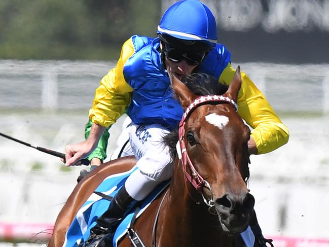 Jockey Brad Rawiller cracks the whip on Black Heart Bart (C) to win the iTalktravel Futurity Stakes on Blue Diamond Stakes Day at Caulfield Racecourse in Melbourne, Saturday. Feb. 25, 2017. (AAP Image/Mal Fairclough) NO ARCHIVING, EDITORIAL USE ONLY