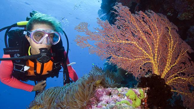 Currumbin filmmaker Lin Sutherland, producer of 'Beauty and the Reef' with anemone and fan coral on the Great Barrier Reef