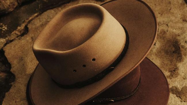 Ms Reinhart's purchase follows the acquisition of hat maker Akubra by Andrew 'Twiggy' Forrest.