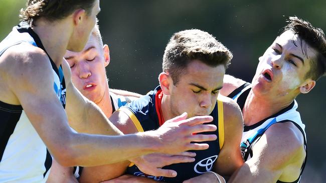 Lachlan Sholl during the under 23 trial against Port Adelaide at Thebarton Oval in February. Picture: AAP/Mark Brake