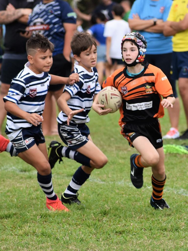 Dean Schifilliti Shield U8 junior league competition Ingham: Photos ...