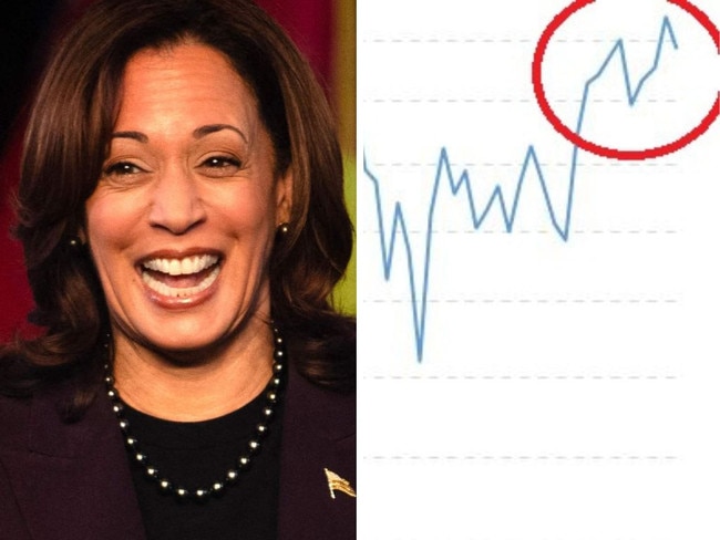 Republicans are blaming Kamala Harris for the stock market's terrible day.