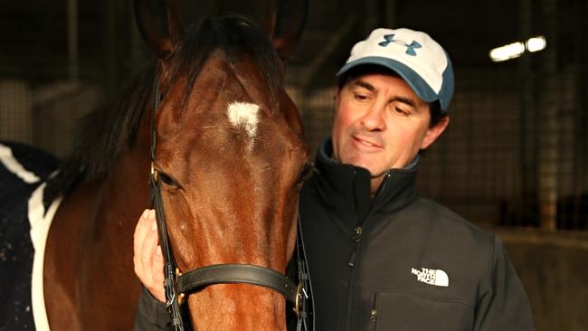 Pics of trainer Michael Freedman and 2yo Henry The Createth Enter Rosehill racecourse today.