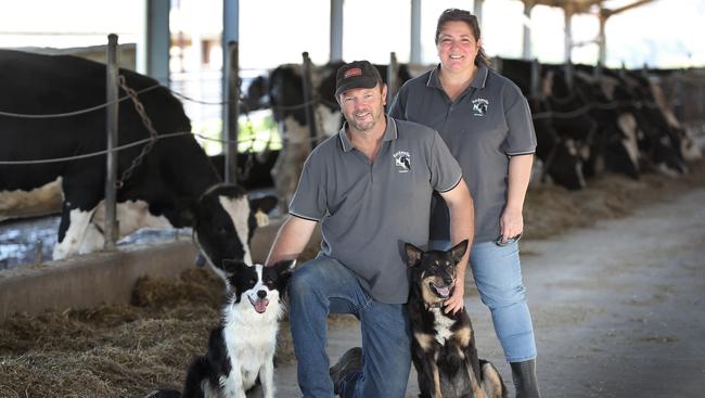 Happy herd: Wes and Rita Hurrell, with their dogs Allie and Bindi, have switched to an expensive but effective total mix feed ration system.