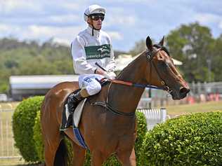 Jockey Jim Orman guides Nothingforthepress back to the Ipswich enclosure after his latest win at Bundamba. Picture: Cordell Richardson