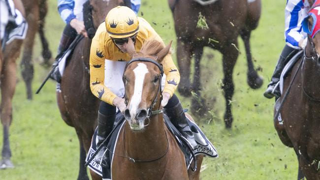 Royalzel scored a dominant victory at Rosehill last start. Picture: Getty Images