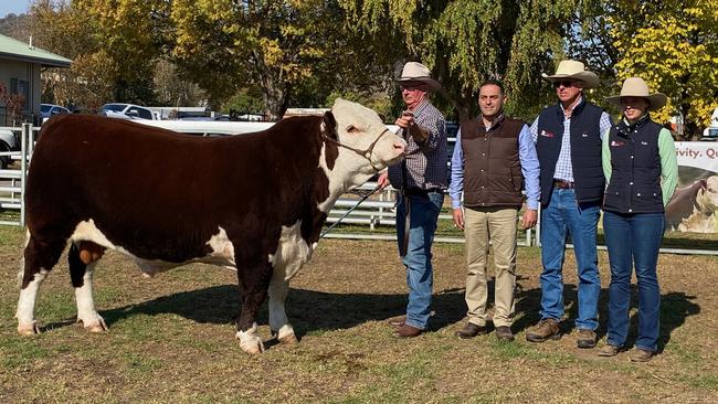 The top price bull which made $44,000 at the Herefords Australia national show and sale at Wodonga.