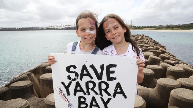 Sisters Annie and Tilly Bray during a community protest. Picture: David Swift.