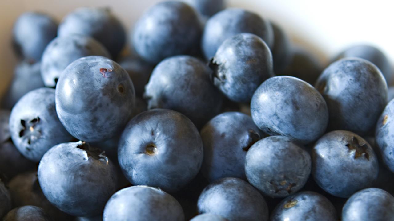 Fears of blueberries price hike after wet weather