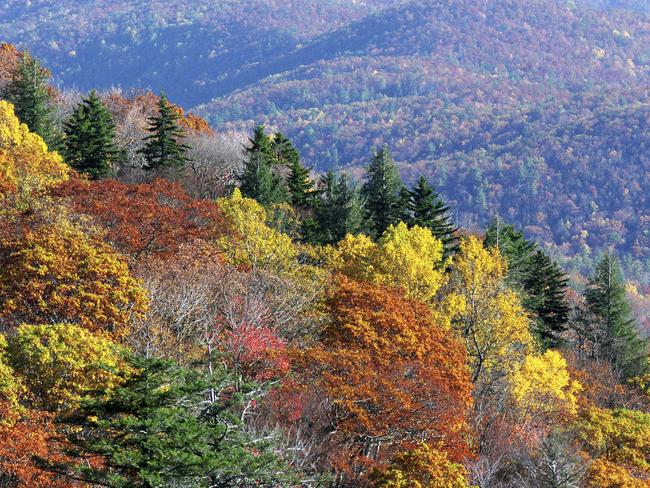 Blue Ridge Parkway. Picture: Supplied.