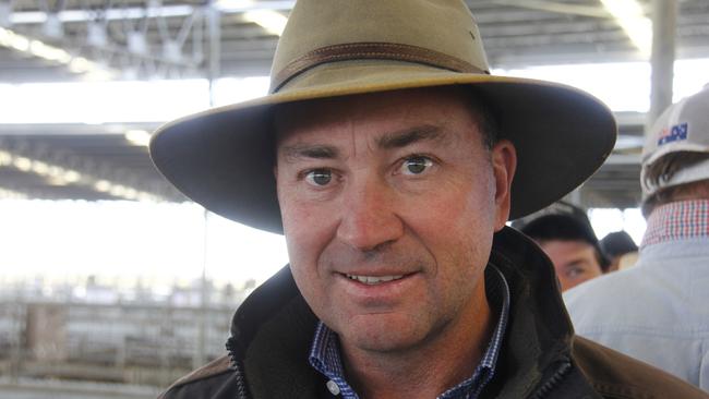 Agent Jamie McConachy, Charles Stewart &amp; Co, auctioneering at Mortlake female sale, January 12, 2023.