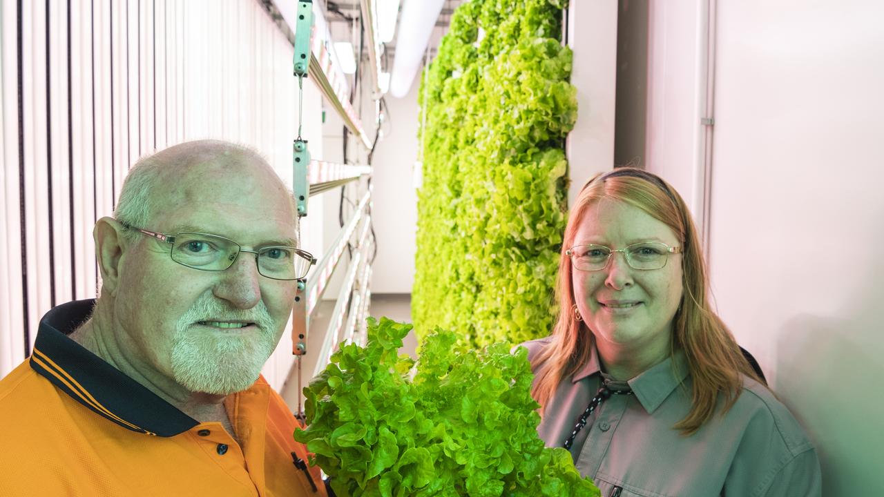 TAFE students Grant Madill and Teresa Storey-Higgins in the grow pod at the Toowoomba TAFE Rural Centre of Excellence. Picture: Kevin Farmer