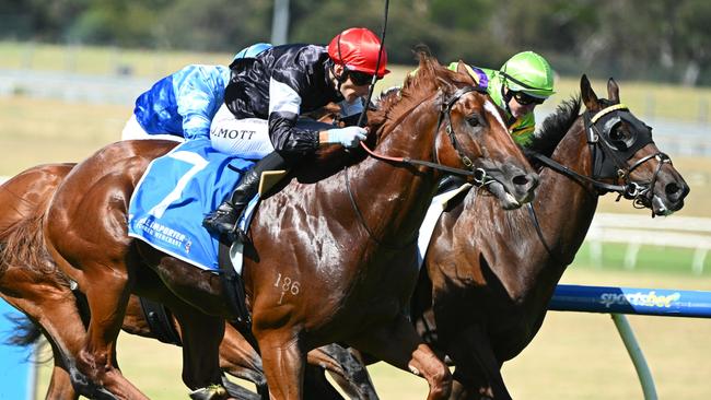 Royal Insignia swoops past Tropicus and Band Of Brothers to win the Manfred Stakes at Sandown. Picture: Vince Caligiuri/Getty Images