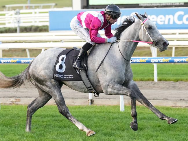 Frigid ridden by Daniel Stackhouse wins the Cleanaway Handicap at Mornington Racecourse on April 20, 2024 in Mornington, Australia. (Photo by Scott Barbour/Racing Photos via Getty Images)