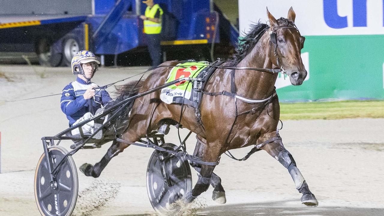 The Lost Storm won’t be running in the TAB Eureka. Picture: Stuart McCormick