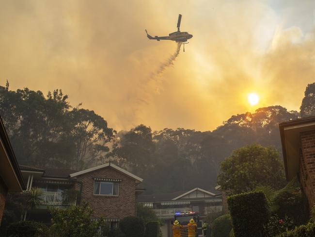 SYDNEY, AUSTRALIA. NewsWire Photos.September 21, 2024.Bushfire runs through bushland on Northern Beaches.Picture: NewsWire / Jeremy Piper