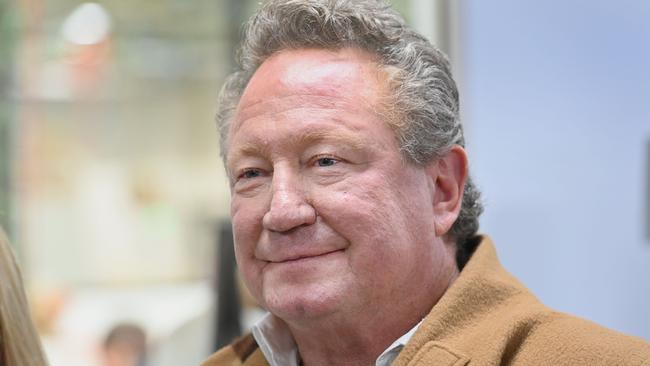 Andrew Forrest said Tattarang had written to JBS and Huon saying it was a ‘vitally interested investor in Huon’. Picture: Keryn Stevens